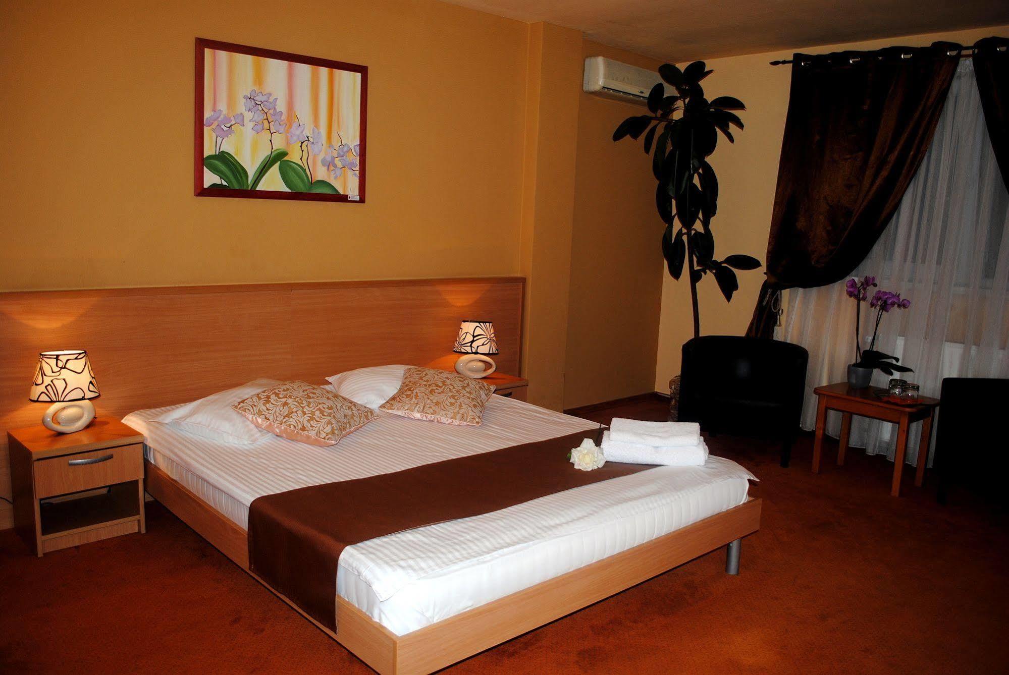Hotel Vandia Τιμισοάρα Εξωτερικό φωτογραφία